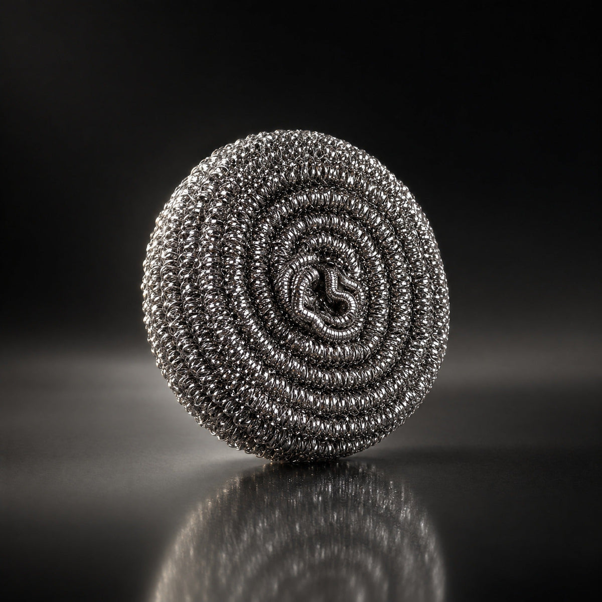 Titanium Pan Scrubber | Roestvrije Reinigingsspoel (Enkel)